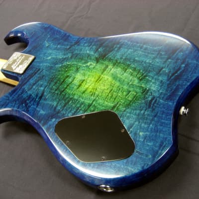Blue Note Woodworks Custom Elecktra-Dove Bass #913 image 10