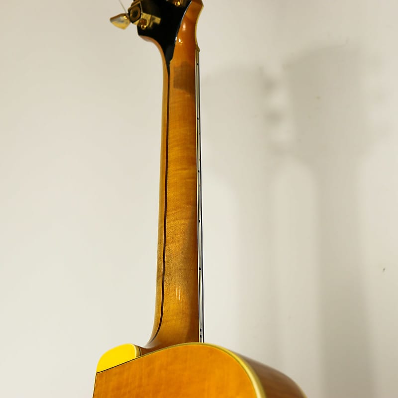 Gibson Byrdland 1955 - 1957 image 10