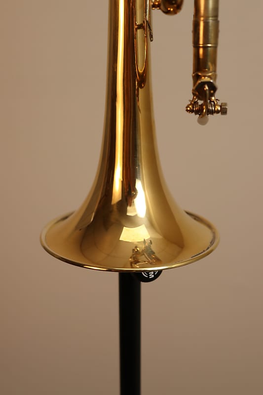 Amazon.com: Bach Trumpet-Standard, Silver (180S37)