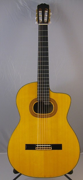 Takamine e 30 deals