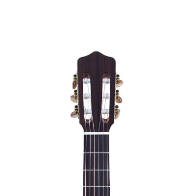 Kremona Flamenco Series Rosa Luna Acoustic/Electric Guitar image 3