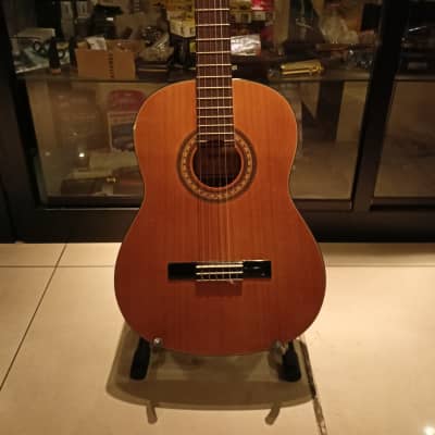 Epiphone C 30 for sale