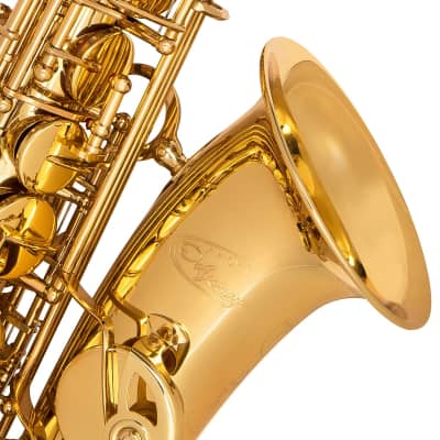 Odyssey Debut 'Eb' Alto Saxophone Outfit image 2
