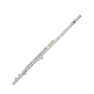 Armstrong 102 Student Flute New - Old Stock 50% OFF image 1