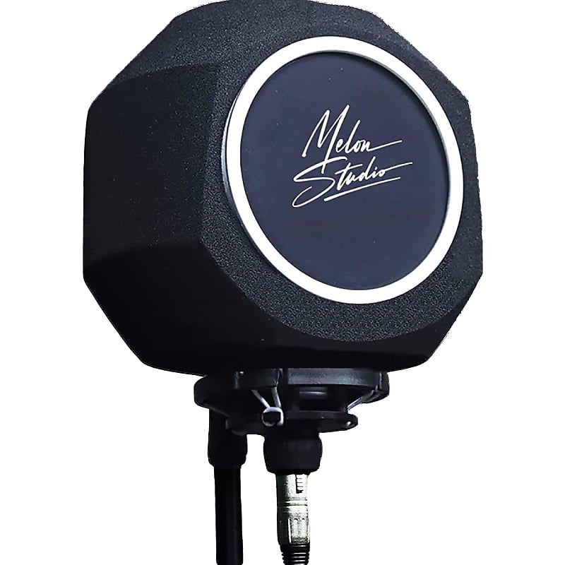 Professional Recording Equipment Microphone Windshield, Sound Insulation  Filter Ball, Recording Studio Microphone Acoustic Belt With Pop Filter,  High-density Sound-absorbing Foam Five-sided Sealing Design, Effectively  Reducing Noise And Reflection