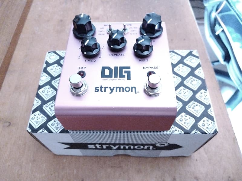 Strymon DIG