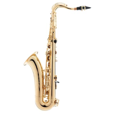 Yamaha YTS-480 Intermediate Bb Tenor Saxophone