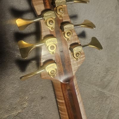 Pavel's 6 String Bass Signature Aryel Pro II 2007 - Walnut, Honduran Mohogany Bottom, Red wood Barrel image 7