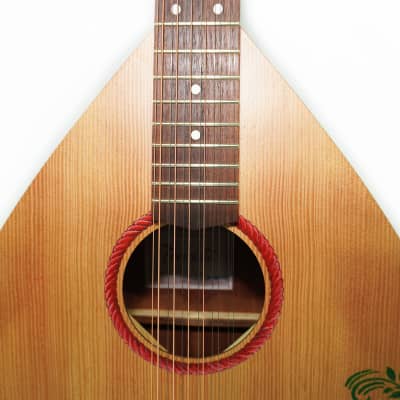 New Acoustic 12 Strings Lute Guitar Kobza Vihuela made in Ukraine Trembita Hand Painted Folk Musical Instrument image 2