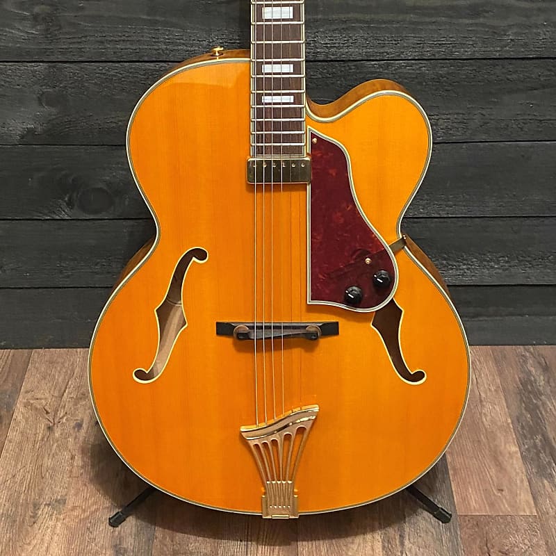 Samick archtop store guitars