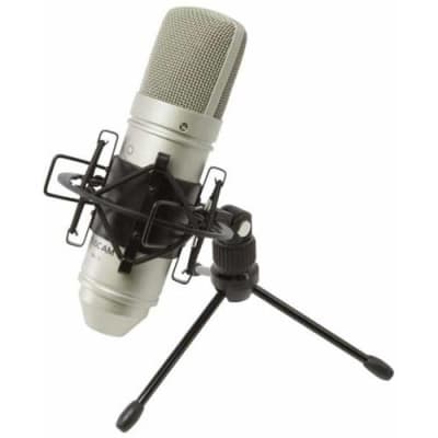 Tascam TM-80 Studio Condenser Microphone image 1