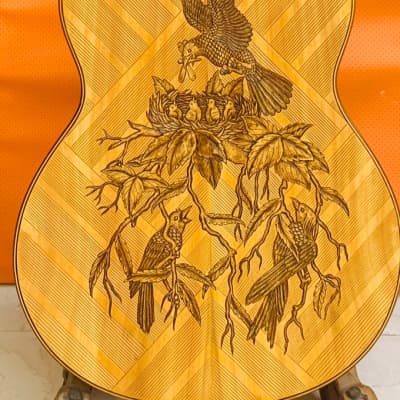 Blueberry NEW IN STOCK Classical Nylon String  Guitar - Alaskan Spruce and Mahogany image 6