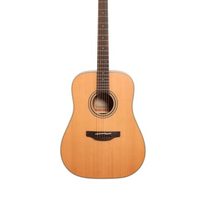 Takamine GD20 Dreadnought Acoustic Guitar image 2