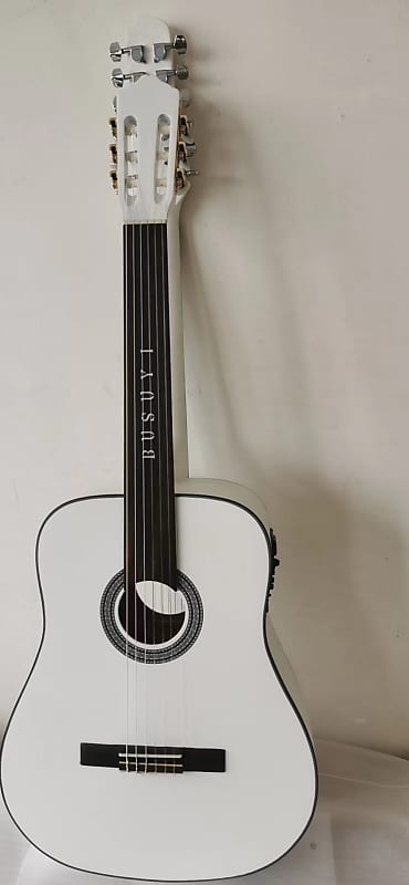 6 Strings Fretless Classical/ 12 String Acoustic Double Sided, Busuyi Guitar, Double Neck Guitar. image 1