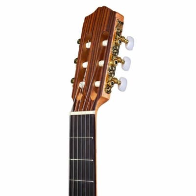 Cordoba Protege C1M Nylon-String Acoustic Guitar (BF23) image 5