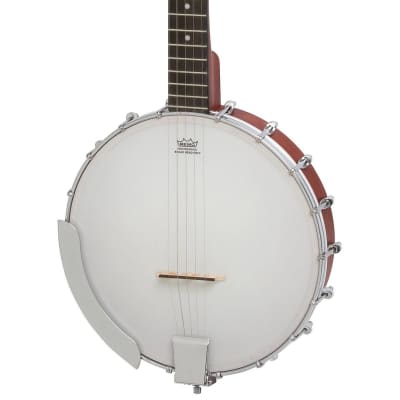 Epiphone MB-100 5-String Banjo for sale