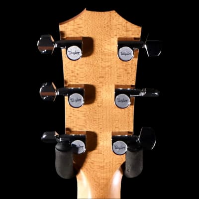 アコースティックギター】Taylor 2017年ニューモデル
