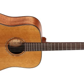 Alvarez MD65 Cedar Acoustic Solid Wood Dreadnought Guitar & Case image 1