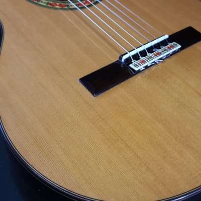 Jose Ramirez Studio 1 C Cedar Top Nylon String Classical Guitar w/ Logo'd Hard Case image 13