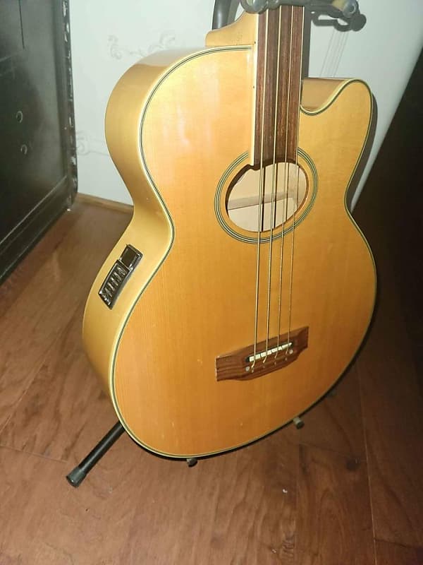 Epiphone C4 Acoustic Electric Fretless Bass 1996 Reverb