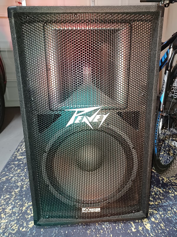 Peavey PV115 Reverb