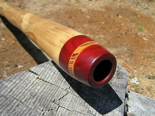Tyler spencer sales didgeridoo