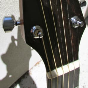 Breedlove American Series C25/CRe H Western Red Cedar Acoustic Electric Guitar L.R. Baggs Rosewood image 5
