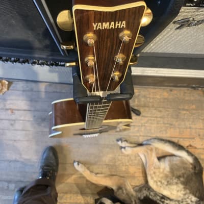 Yamaha FG-302D 80s | Reverb