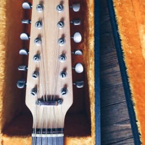 Fender Shenandoah XII 1965. 12 String Acoustic Guitar with Orig Case image 2