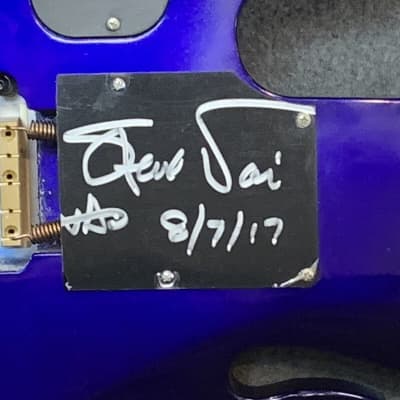 JEM Joe Jem Despagni 2000's Blue Flame Steve Vai WOW | Reverb