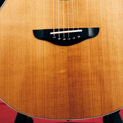 Josh Williams Acoustic Guitar-OM Signature Series-Torrefied Adirondack Spruce Top & Mun Ebony Back & Sides image 5