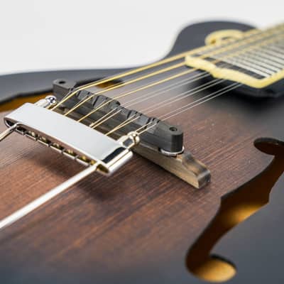 Gold Tone I-F12 Gold Tone F-Style 12-String Mando-Guitar w/ Foam Case image 16