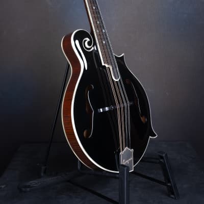 Bourgeois M5-F-BT Black Top Aged F-style mandolin Brand New image 3