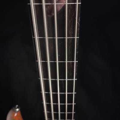 Fretless 5 string bass guitar image 15