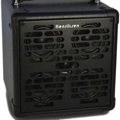 Henriksen The Ray Extension Cabinet w/Gig Bag - NEW The Ray 2023 - Black image 1