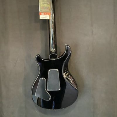 PRS SE Floyd Custom 24 (2017 - Present) | Reverb PRS SE Floyd Custom 24 (2017 - Present) | Reverb