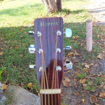 Morris MD 503 90s - Natural | Reverb