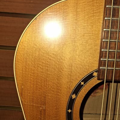 Norman By Godin Encore B20 CW Acoustic Guitar (Cherry Hill, NJ) image 9