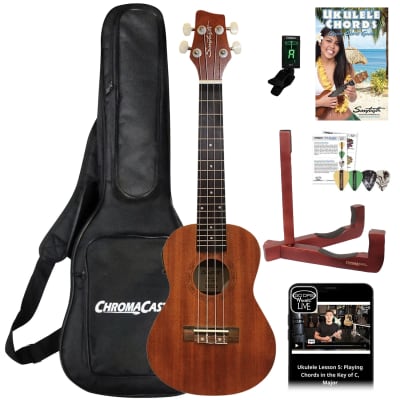 Behringer iAxe 624 Centari USB-Guitar | Reverb