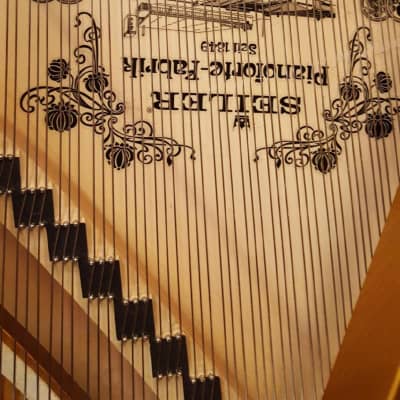 Seiler Louvre 5'11" Grand Piano image 6