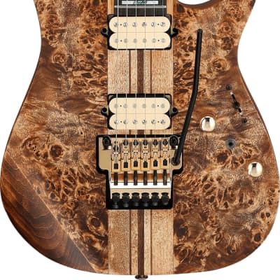 Ibanez Premium RGT1220PB Poplar Burl Electric Guitar, Antique Brown Stained image 1