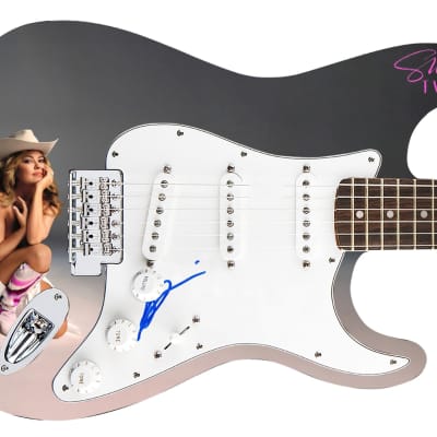 Shania Twain Autographed Topless Nude 1/1 Custom Graphics Guitar for sale