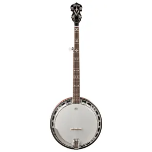 Washburn B9 Americana Series 5-String Banjo | Reverb