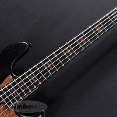 Bacchus WOODLINE5-SP21/E (BLK/OIL-MH) -Made in Japan- | Reverb