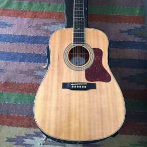 Gibson shop dsm acoustic