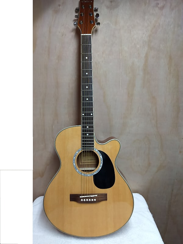 Sequoia shop acoustic guitar