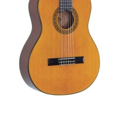 Washburn C40 Classical Acoustic Guitar Natural C40-A for sale