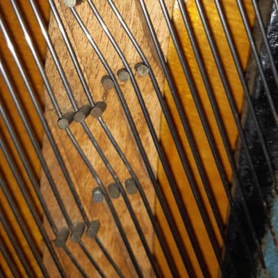 Rare C. Bechstein Model V Upright Piano 1898- Ships with CITES Permit Internationally image 16