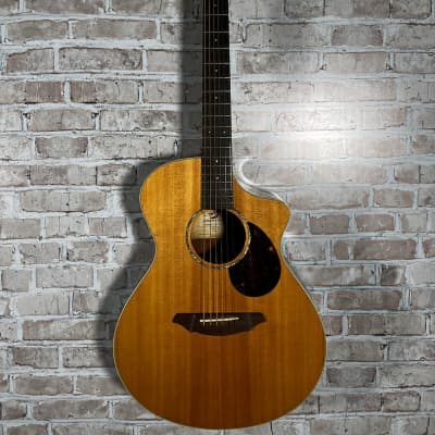 Breedlove C250/SBe Acoustic Electric Guitar (Las Vegas,NV) image 2