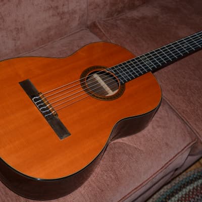 Martin N-20 WNB Natural (Mellow Yellow) for sale